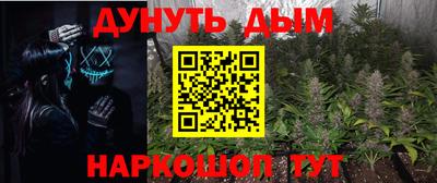 ПСИЛОЦИБИНОВЫЕ ГРИБЫ Кингисепп