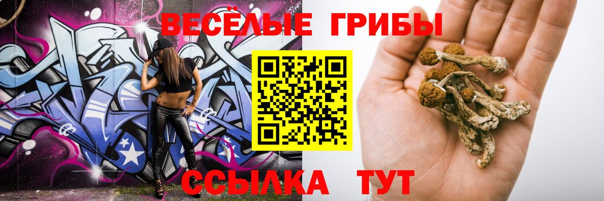 Карпинск  Псилоцибиновые грибы мицелий  Вход с VPN  Галлюциногенные грибы прущие грибы 